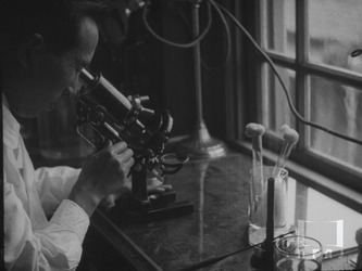 傳染病の病原體