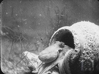 海の生物［1巻版］