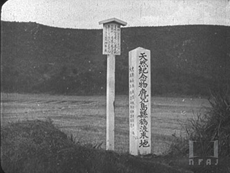 内務省指定天然紀念物 鹿兒島縣鶴渡來地