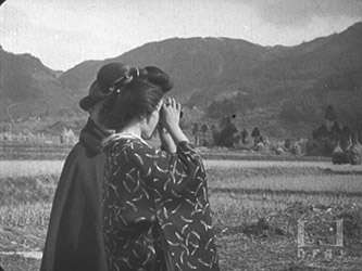 内務省指定天然紀念物 八代村鶴渡來地