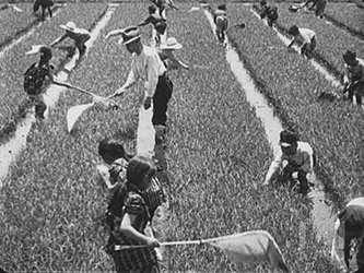 ずゐむしの驅除