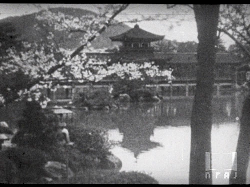 花の京都［サクラグラフ版］